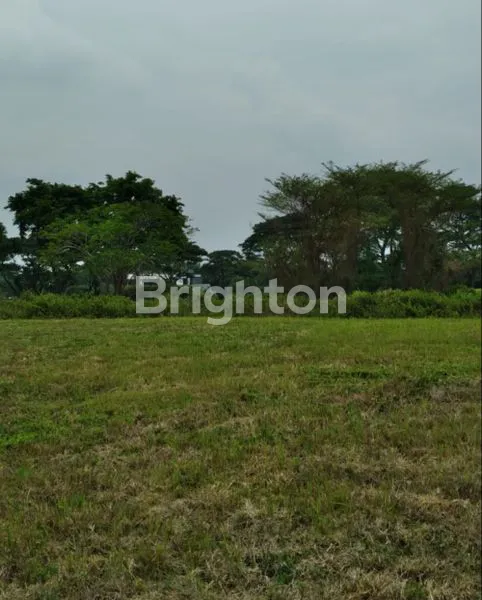 image KAVLING GOLF VIEW @PUNCAK GOLF CITRALAND, HARGA CIAMIK (3)