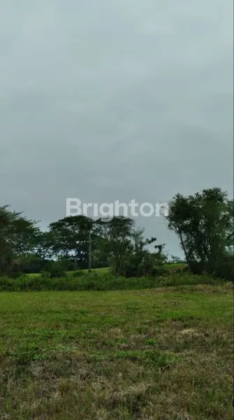 image KAVLING GOLF VIEW @PUNCAK GOLF CITRALAND, HARGA CIAMIK (4)