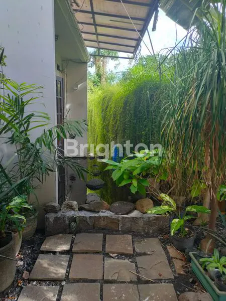 image PURI SURYA JAYA (4)