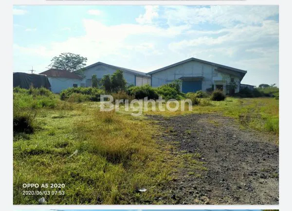 image GUDANG BALONG PANGGANG (1)