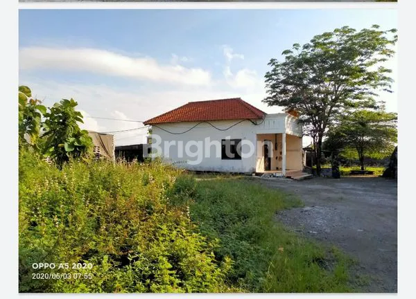 image GUDANG BALONG PANGGANG (7)