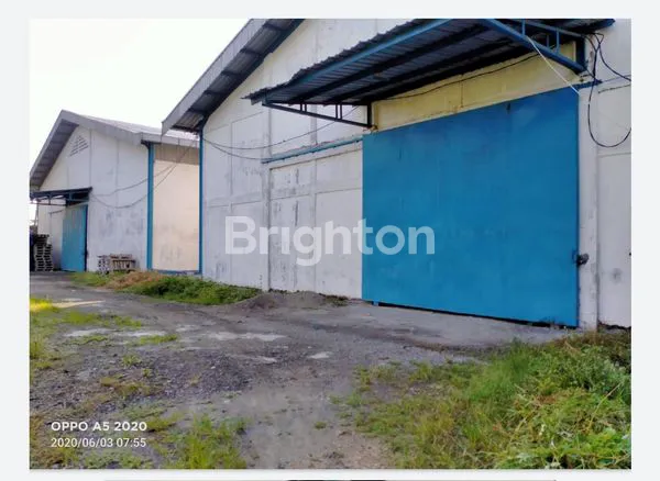 image GUDANG BALONG PANGGANG (4)