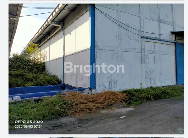 image GUDANG BALONG PANGGANG (6)