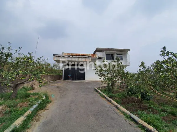 image TANAH KEBUN BATU LUAS (4)