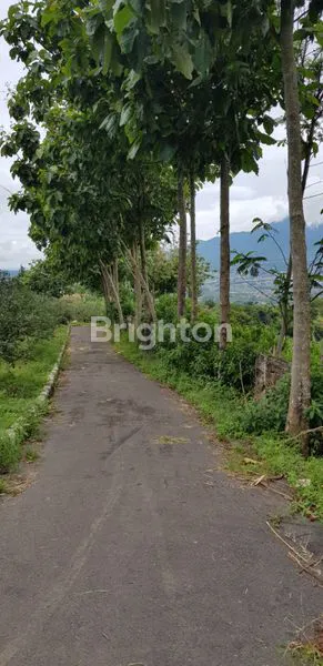 image TANAH KEBUN BATU LUAS (5)