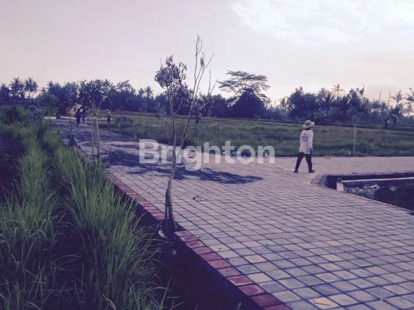 image TANAH KAVLING SIAP BANGUN (2)