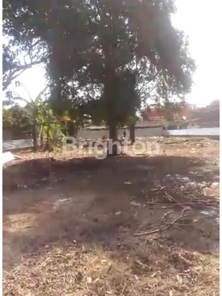 image *TANAH KOMERSIAL RAYA CANGGU, BALI* (3)