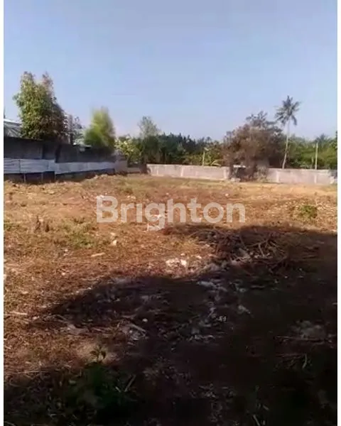 image *TANAH KOMERSIAL RAYA CANGGU, BALI* (1)