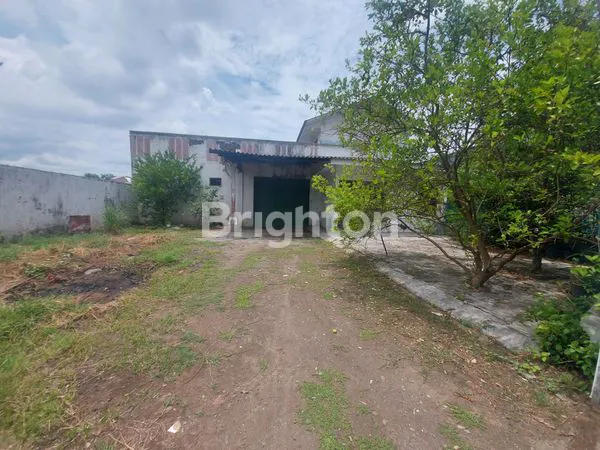 image GUDANG DI MADIUN KOTA (4)