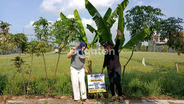 image TANAH TENGAH KOTA STRATEGIS  (4)