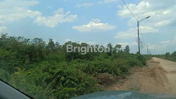 TANAH DI TANJUNG API API