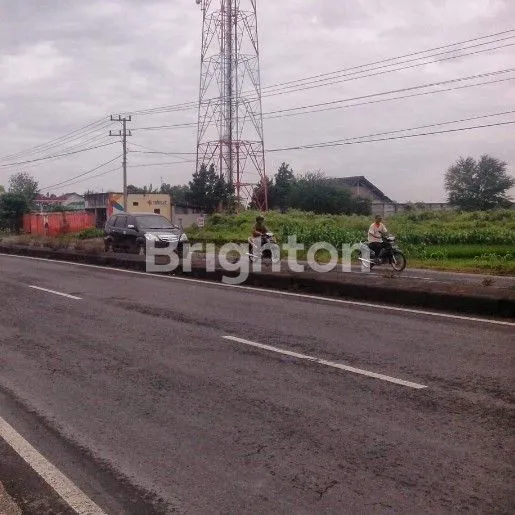 image TANAH BABAT LAMONGAN (2)