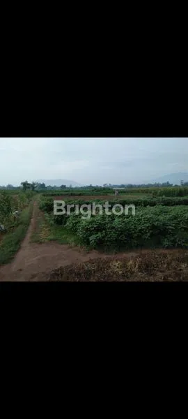 TANAH COCOK UNTUK INVESTASI