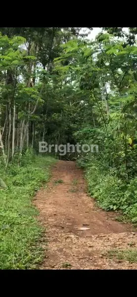 image TANAH LOKASI SEJUK DI MIJEN SEMARANG (4)