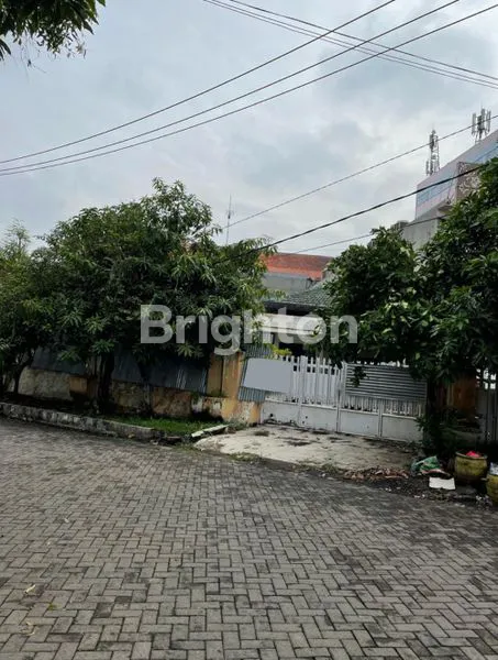 image PUTAT GEDE INDAH (1)