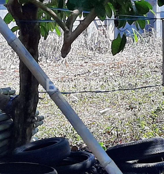 image TANAH UNTUK PERUMAHAN DI MIJEN SEMARANG (4)