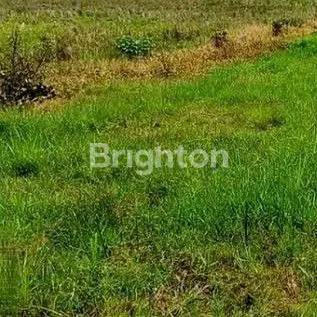 image TANAH LOKASI STRATEGIS (1)