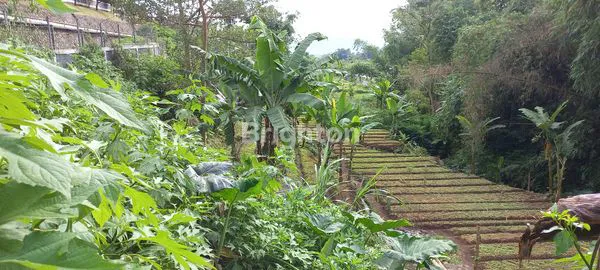 image KAVLING DI KOL. MASTURI COCOK UNTUK PERUMAHAN DAN RESTAURANT / CAFE (1)