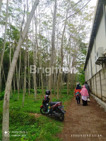 image LAHAN MURAH TENGAH KOTA (2)