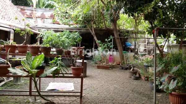 image RUMAH TUA DI TAMBAK MENTENG JAKARTA SELATAN (4)