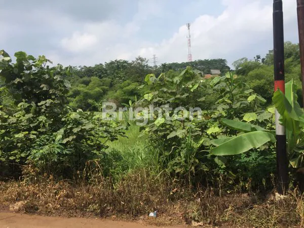 TANAH DI KEDUNGPANE MIJEN SEMARANG