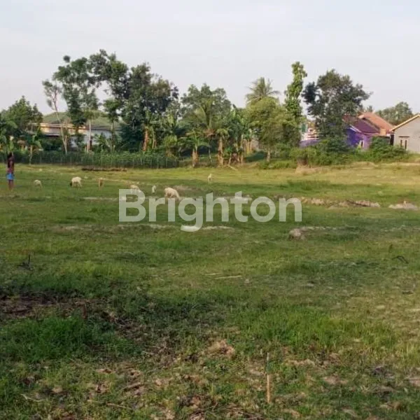 image TANAH KAVLING ROYAL RESIDENCE (1)