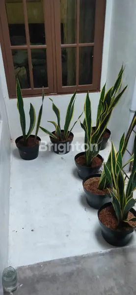 image RUMAH PONDOK INDAH WIRUN MOJO (5)