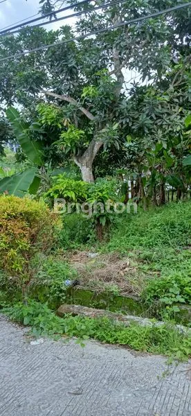 image SEPINGGAN  (1)