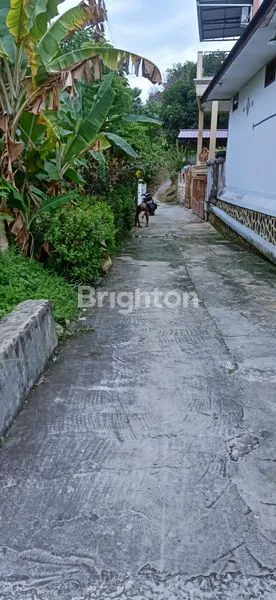 image SEPINGGAN  (2)