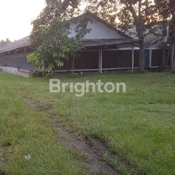 image TANAH PETERNAKAN/PERIKANAN DESA SINDUMARTANI SLEMAN JOGYAKARTA (1)