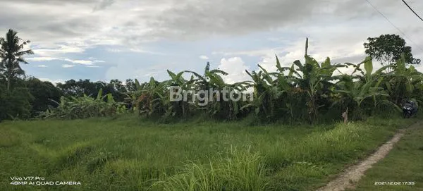 TANAH UNTUK VILLA DEKAT DENGAN TANAH LOT TABANAN