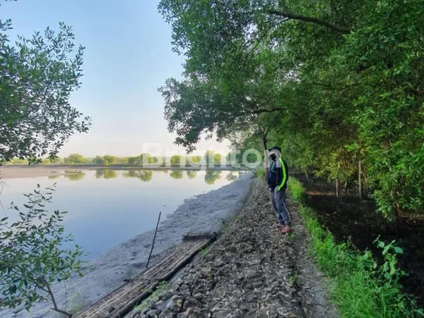 image TANAH SURABAYA TIMUR DEKAT PAKUWON CITY (1)