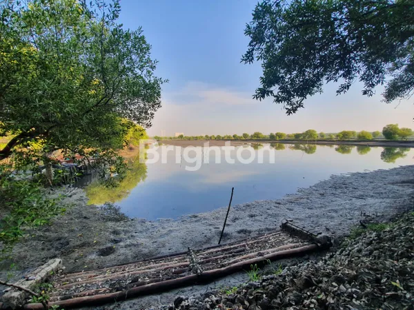 image TANAH SURABAYA TIMUR DEKAT PAKUWON CITY (2)