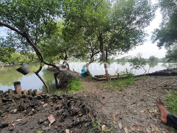 image TANAH SURABAYA TIMUR DEKAT PAKUWON CITY (3)