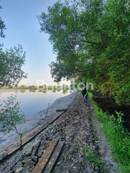 image TANAH SURABAYA TIMUR DEKAT PAKUWON CITY (4)