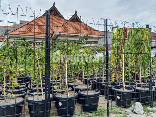 image BANGUNAN TUA HITUNG TANAH LOKASI TENGAH KOTA (1)