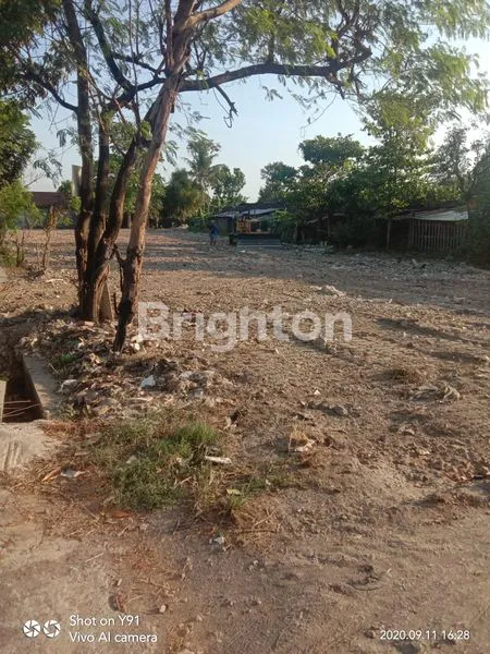 image TANAH HADAP JL RINGROAD TIMUR (3)