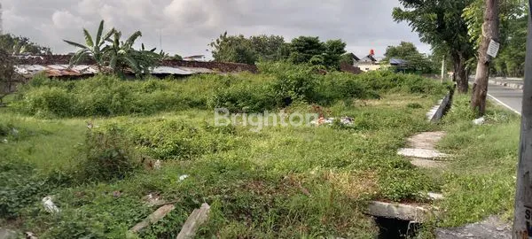 image TANAH HADAP JL RINGROAD TIMUR (5)