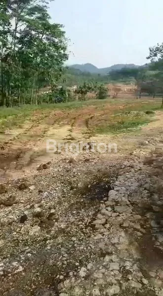 image TANAH LUAS MURAH COCOK UNTUK HUNIAN ATAU KEBUN DI KLAPANUNGGAL BOGOR (4)