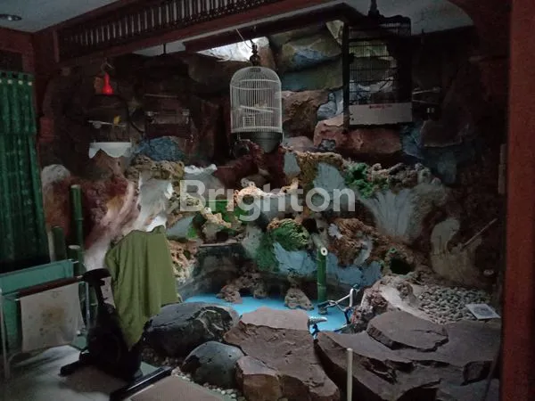 image RUMAH KLASIK TENGAH KOTA (2)