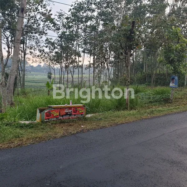 image TANAH WAGIR (3)