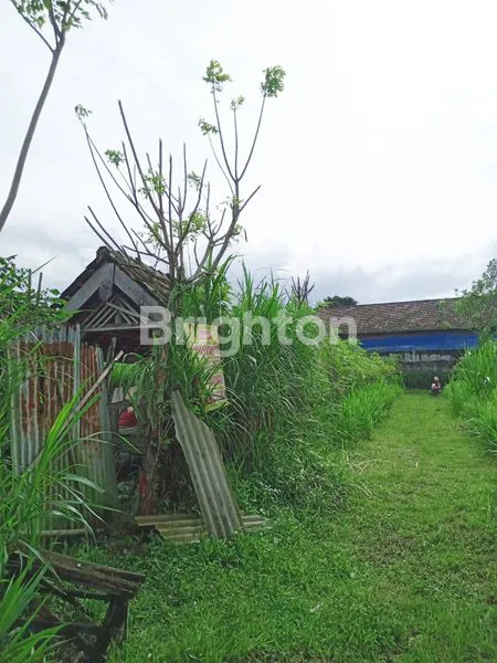 image TANAH KAVLING DEKAT BANDARA ABDUL RACHMAN SALEH MALANG (1)