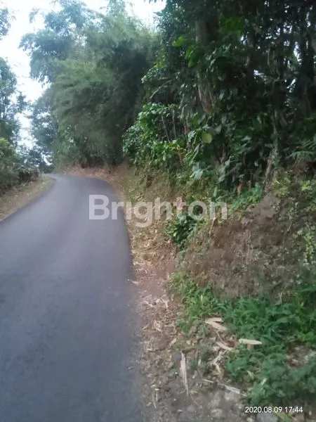 TANAH DI DAERAH JALAN CAGAK SUBANG