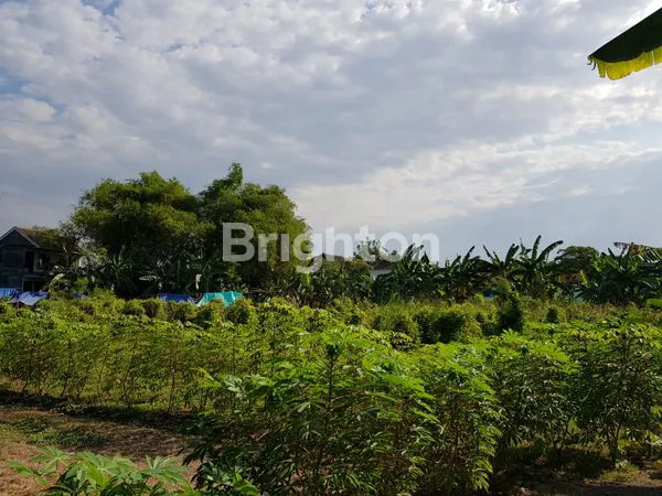 image TANAH JABON SARI SIDOARJO (7)