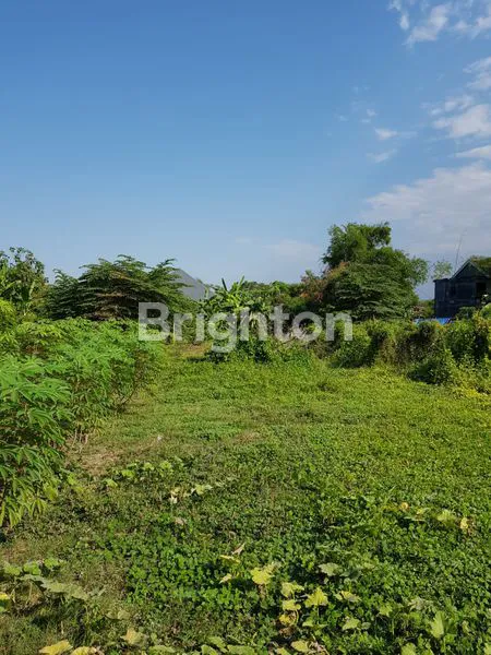 image TANAH JABON SARI SIDOARJO (4)