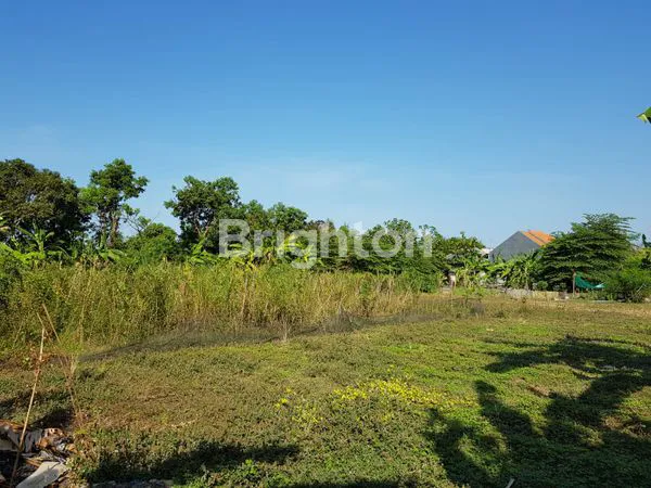 image TANAH JABON SARI SIDOARJO (8)