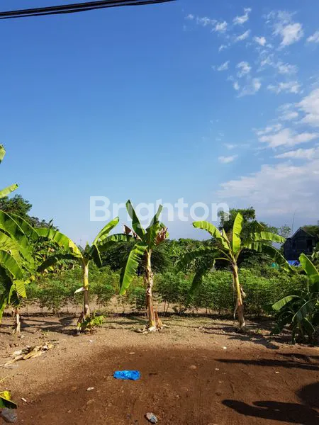 image TANAH JABON SARI SIDOARJO (5)