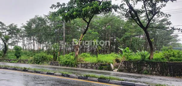 image TANAH JALAN POROS SENGONAGUNG SUKOREJO (4)