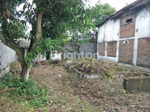 image TANAH DI DAWUNG KULON (3)