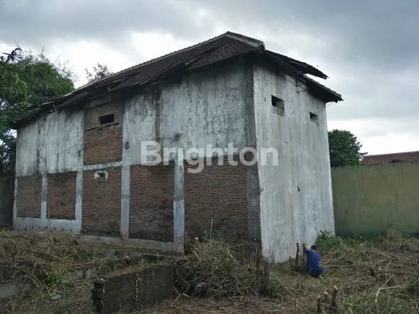 image TANAH DI DAWUNG KULON (2)